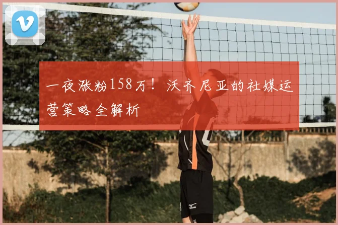 一夜涨粉158万！沃齐尼亚的社媒运营策略全解析